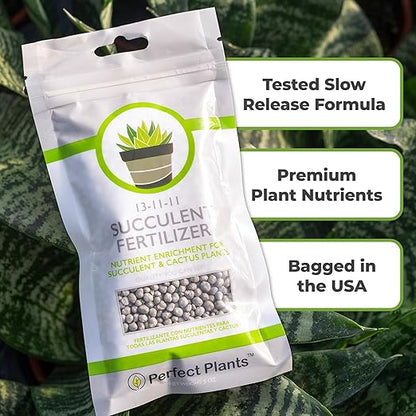 Succulent and Cactus Fertilizer in 5oz. Bag | Long Lasting Gentle Plant Food Formula for All Live Succulents, Cacti, and Other Desert Houseplants (Pack of 2)
