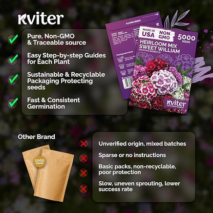 KVITER 5000 Mix Sweet William Seeds for Planting (Dianthus barbatus) – Organic & Heirloom Seed, Clove-Scented Blooms, Drought Tolerant – Perennial Flower Seeds to Plant Outside & Inside