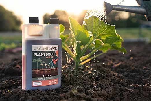 Foliar Organic Boost Plus Plant Food/Fertilizer Concentrate (16 Ounces)