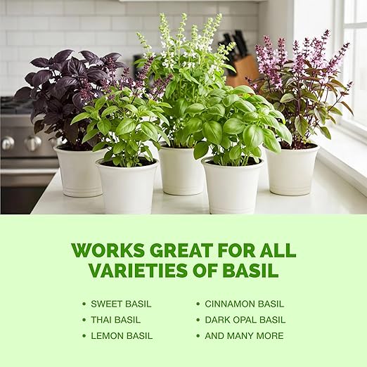 Basil Fertilizer for Basil Plant, Great for Mint, Rosemary, and Thyme, Liquid Fertilizer by TPS Plant Foods, 8 oz (250mL)