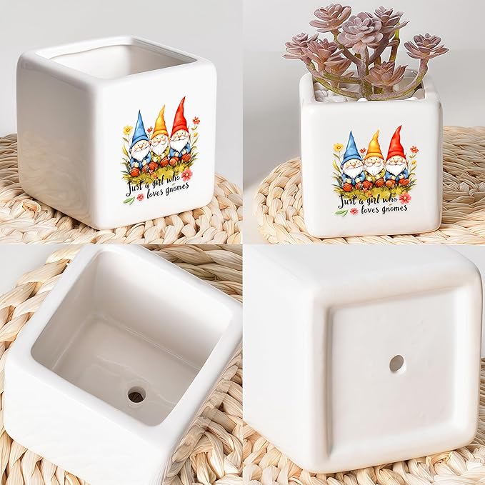 Gnomes Succulent Planter Flower Plant Pot Small, Gifts for Women Teens Girls Kids, Gnomes Lovers Themed Stuff Accessories Things Decor Merch, Home Office Table Desk Decoration!
