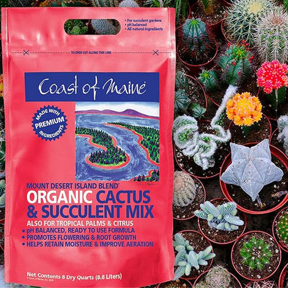 Coast of Maine Mount Desert Island Blend, 8qt (Pack of 2) Organic and Natural, Cactus and Succulent Mix - Tropical Palms and Citrus Plants