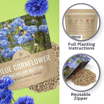 Blue Cornflower Seeds – Bachelor Buttons – Extra Large Packet – Over 5,000 Open Pollinated Non-GMO Wildflower Seeds – Centaurea cyanus