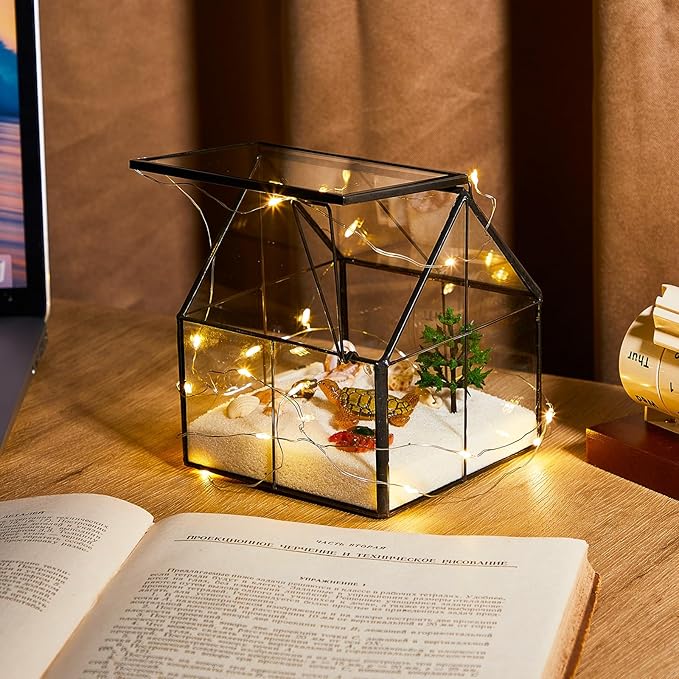 2 Pcs Mini Glass Terrarium Planter with Lid 5 x 4.3 x 4.3'' Small Greenhouse Terrarium Jar Glass Container Pot Tabletop Succulent Small Cacti Air Plant Planter for Indoor Home Garden Office Decor