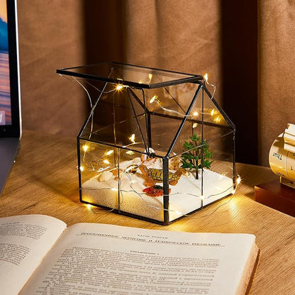 2 Pcs Mini Glass Terrarium Planter with Lid 5 x 4.3 x 4.3'' Small Greenhouse Terrarium Jar Glass Container Pot Tabletop Succulent Small Cacti Air Plant Planter for Indoor Home Garden Office Decor