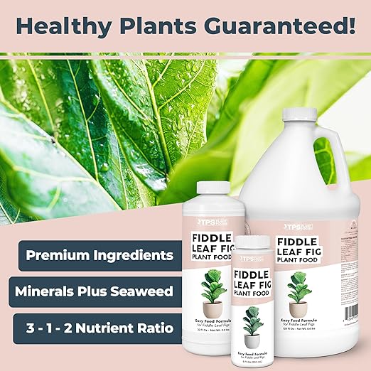 Fiddle Leaf Fig Plant Food for All Fig and Other Ficus Trees, Liquid Houseplant Fertilizer, 32 oz (1 Quart)