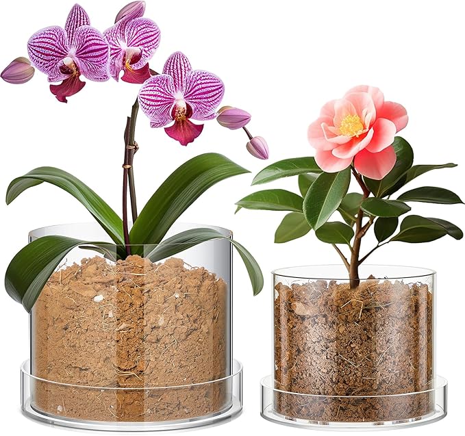 2 Pcs 6 Inch 8 Inch Clear Plant Pots Acrylic Nursery Orchid Pots with Drainage Holes and Tray Transparent Planter for Indoor Plants, Succulents, Herb, Flowers, and Cactus Decorative