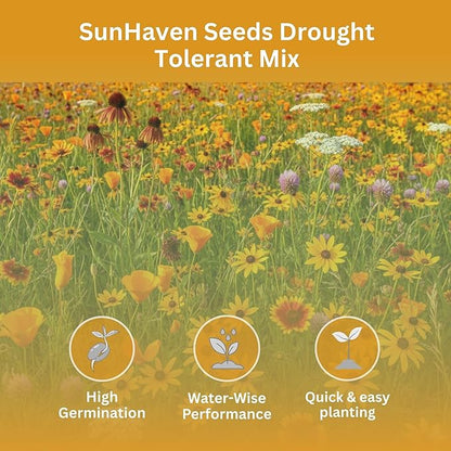 Drought Tolerant Wildflower Mix – 20,000+ Seeds – 1 oz Bulk Extra Large Resealable Packet – Non-GMO Flower Seeds for Dry Climates – Black-Eyed Susan, Coreopsis, California Poppy & More