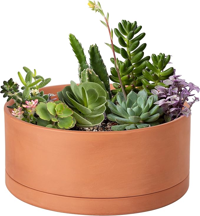 D'vine Dev 10 Inch Succulent Terracotta Shallow Pot with Drainage Hole and Saucer, Round Cylinder Planter Pot for Plant Flower, 40-Y-B-0