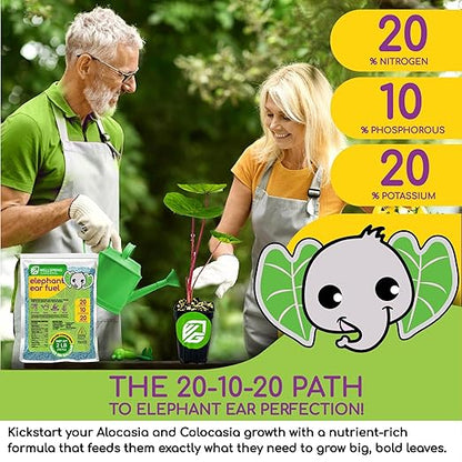 Elephant Ear Fertilizer Fuel - 2 Pounds - Water-Soluble 20-10-20 Blend - Wellspring Gardens