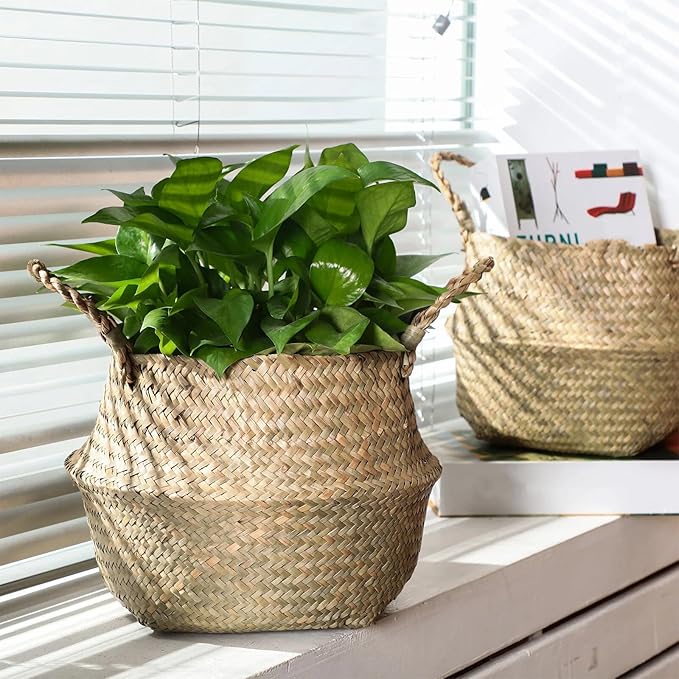 Qunclay 4 Pcs Woven Seagrass Baskets Belly Basket Folding Boho Natural Plant Pot with Handles Round Decorative Wicker Large Indoor Planter for Home Outdoor Tree Planters Decor (9 x 11 Inch)