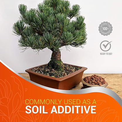 Ho Yoku Red Lava Rock for Plants - Premium Soil Additive for Bonsai Plants, Succulents, Cacti, Houseplants - Decorative and Water Retaining Use - Can Mix with Other Aggregates - 2.25 Quarts