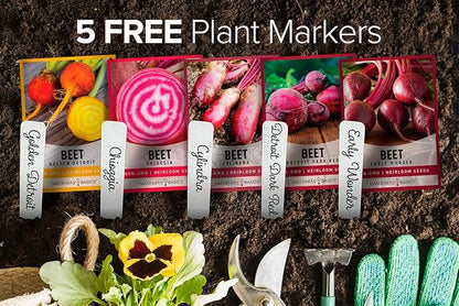 Gardeners Basics, Beet Seeds for Planting Home Garden - 5 Variety Pack Detroit Dark Red, Golden Detroit, Early Wonder, Cylindria and Chioggia Great for Spring, Summer, Fall, Heirloom Veggie Seeds