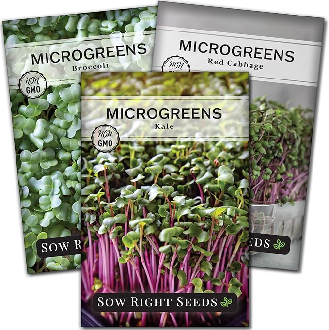 Sow Right Seeds - Superfood Microgreen Seed Mix for Growing - Instructions to Quickly Sprout Your Own Healthy Microgreens - Plant indoors with no special equipment - Non-GMO Seeds for Sprouting