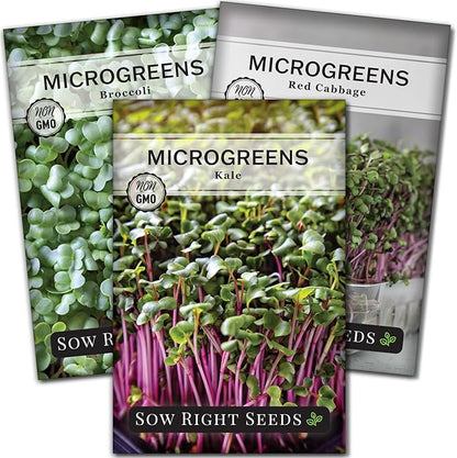 Sow Right Seeds - Superfood Microgreen Seed Mix for Growing - Instructions to Quickly Sprout Your Own Healthy Microgreens - Plant indoors with no special equipment - Non-GMO Seeds for Sprouting