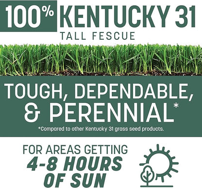 Pennington Kentucky 31 Tall Fescue Grass Seed 20 lb