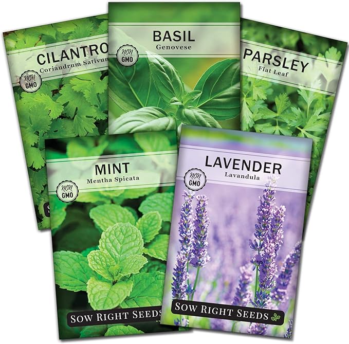 Sow Right Seeds - Most Popular Herb Seed Collection for Planting - Mint, Lavender, Sweet Basil, Cilantro, and Parsley - 5 Packets with Instructions to Grow a Home Kitchen Garden or Hydroponics