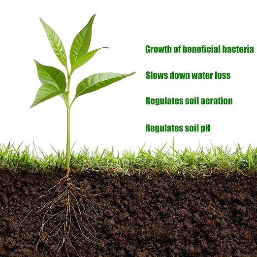 Soil Revitalizer (17.6 oz / 500g), Lawn & Garden Soil Conditioner - Plant Food Enhancer, Concentrated Humic Acid with Fulvic - Yields 266 Gallons (17.6, Ounces)