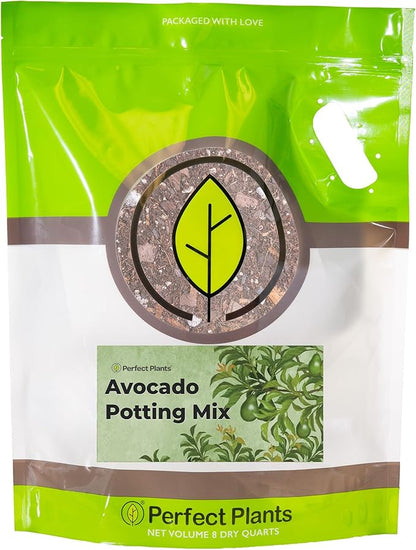 Professional Avocado Potting Mix by Perfect Plants | Premium All-Natural Blend for All Tropical Avocado Trees (8Qt)