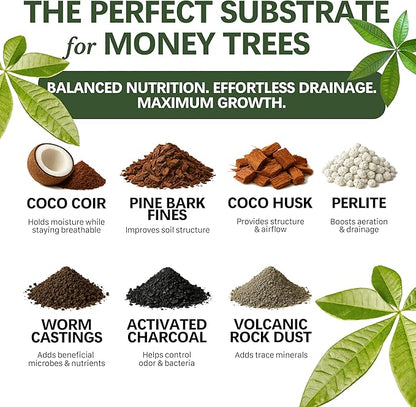 Premium Money Tree Soil – Organic, Nutrient-Rich, Optimal-Draining Potting Mix for Pachira Aquatica – Supports Strong Roots, Balanced Moisture & Lush Foliage – Ready to Use (8 QTS)