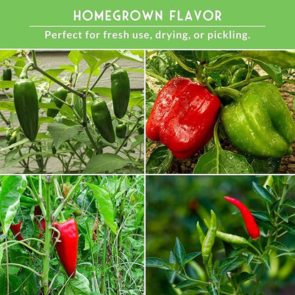 8 Pepper Seed Collection | Heirloom Varieties – Marconi, Chocolate Beauty, Cayenne & More | Non-GMO Seeds for Planting | Survival Garden Seeds