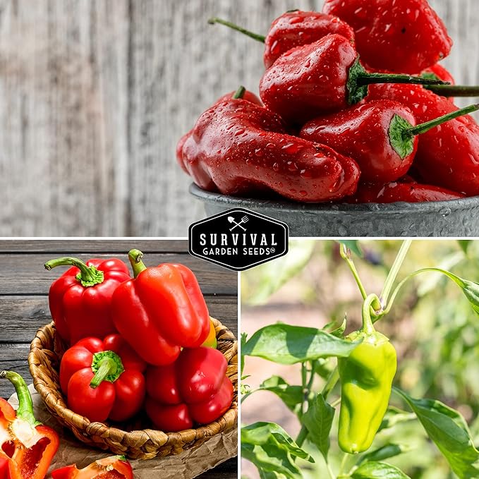 Sweet Pepper Collection – 5 Variety Pack | California Wonder, Marconi Red, Cubanelle, Chocolate Beauty & Big Red | Heirloom Non‑GMO Bell Peppers for Planting – Survival Garden Seeds