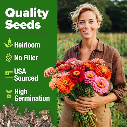 HOME GROWN Zinnia Dahlia Seeds Pack for 2026 Non GMO 524 Flower Seeds | Vibrant Zinnia Elegans for Pollinator Gardens, Borders & Containers | Easy-to-Grow Outdoor Blooms