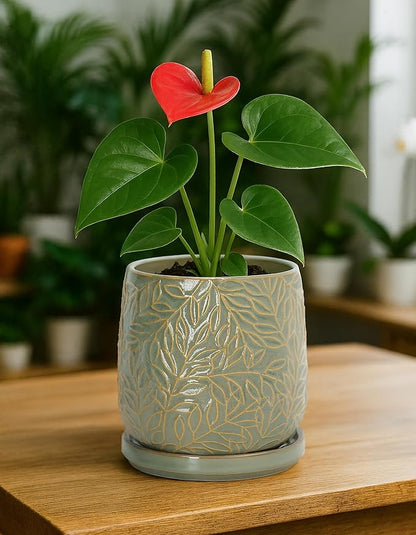 D'vine Dev 5 Inch Embossed Leaves Stoneware Planter Pot with Drainage Hole and Saucer, Olive, 27-A-V-0