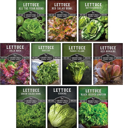 Lettuce Seeds for Planting | 10 Heirloom Lettuces – Buttercrunch, Romaine, Iceberg, Oakleaf, Simpson, Salad Bowl, Lolla Rossa & More | Survival Garden Seeds