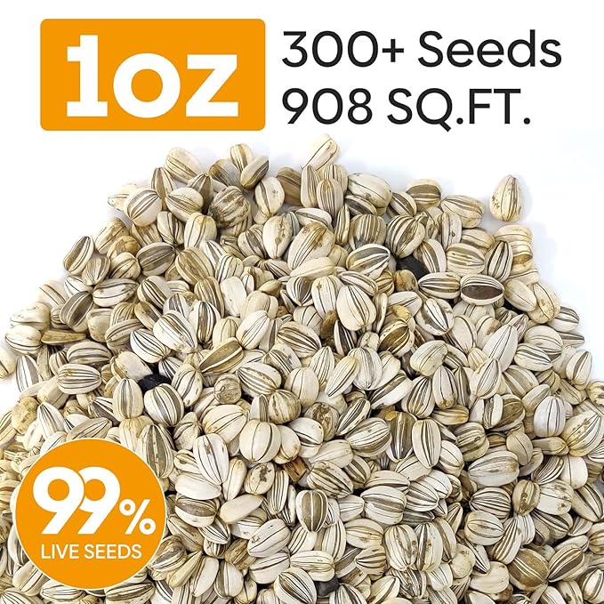 Mammoth Sunflower Seeds to Plant, 1 Ounce Packet 300+ Seeds, 6-12 FT Giant Sunflower, Non-GMO | Heirloom | High Germination, Grown in The USA