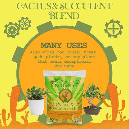 Organic Mechanics Cactus and Succulent Blend Potting Soil, 2 qt – Well-Drained Organic Mix – Enhances Plant and Root Growth with Biochar, Rice Hulls, and Worm Castings