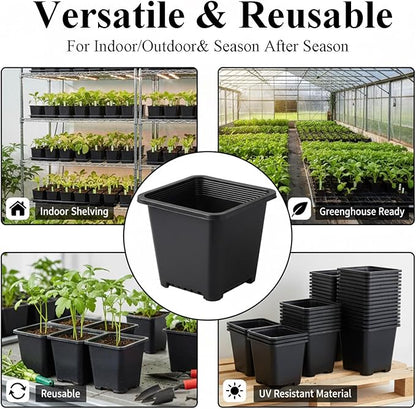 50 Packs Square Nursery Pots for Plants 5.5 Inch Succulent Plant Pots Set Plastic Seedling Starting Pots with Drainage Holes Nursery Pots Variety Pack Flower pots Planter Seed Starter, Black