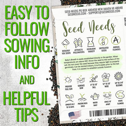 Seed Needs White Baby's Breath Seeds for Planting - Heirloom & Open Pollinated Annual Flowers - Perfect for a Butterfly Garden, Bouquets & Floral Arrangements (XL Packs)