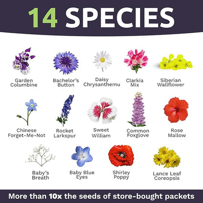Bulk Wildflower Seeds Partial Shade Mix - 1/4 Pound Bag Over 30,000 Open Pollinated Annual and Perennial Seeds