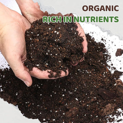 Premium Snake Plant Soil Mix 10qt, Indoor Plants Potting Mix for All Potted Snake Plants, Promote Healthy Growth and Easy Care, black