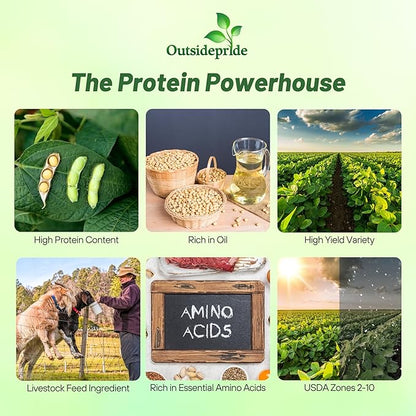 Outsidepride Soybean Seeds - 5 lbs High-Protein & High Yield Heirloom Variety Soy Beans, Ideal for Oil Processing, Forage, Animal Food Plots, & Wildlife Feed for Poultry & Other Farm Animals