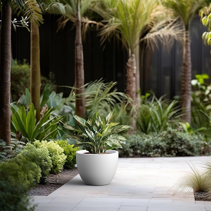 Kante 14.2 Inch Round Concrete Planter - Classic Large Indoor/Outdoor Plant Pot with Drainage Hole and Rubber Plug, Suitable for Gardens and Patios, White