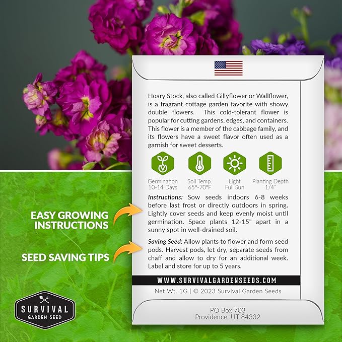 Hoary Stock Seed for Planting - 2 Packets with Instructions to Plant and Grow Vintage Harmony Stock (Matthiola incana) in Your Home Flower Garden - Non-GMO Heirloom Variety - Survival Garden Seeds