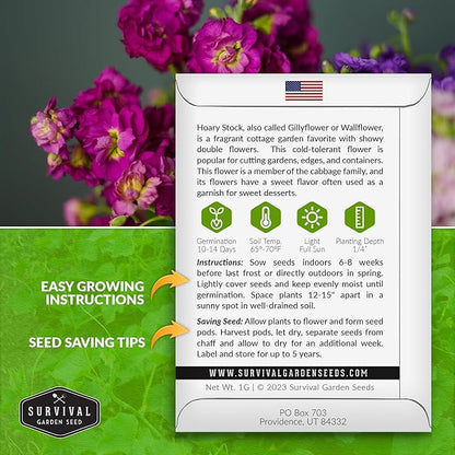 Hoary Stock Seed for Planting - 1 Packet with Instructions to Plant and Grow Vintage Harmony Stock (Matthiola incana) in Your Home Flower Garden - Non-GMO Heirloom Variety - Survival Garden Seeds