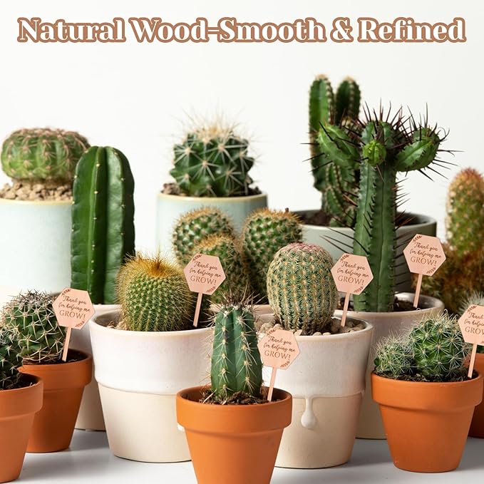 30PCS Thank You for Helping Me Grow Hexagon Wooden Plant Identification Stakes, Garden Succulents Tags Labels for Plants Gifts, Pot Label Picks for Teacher's Day or Mother's Day Appreciation Thanks