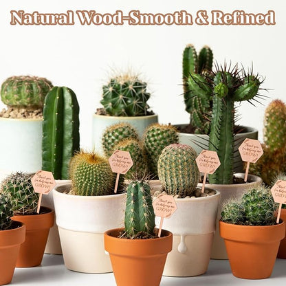 30PCS Thank You for Helping Me Grow Hexagon Wooden Plant Identification Stakes, Garden Succulents Tags Labels for Plants Gifts, Pot Label Picks for Teacher's Day or Mother's Day Appreciation Thanks