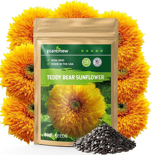 Giant Teddy Bear Sunflower Seeds - 0.7oz (800+ Seeds) | Fluffy Double Yellow Petals | Extra Large Blooms, Non-GMO, Open Pollinated | Easy Grow