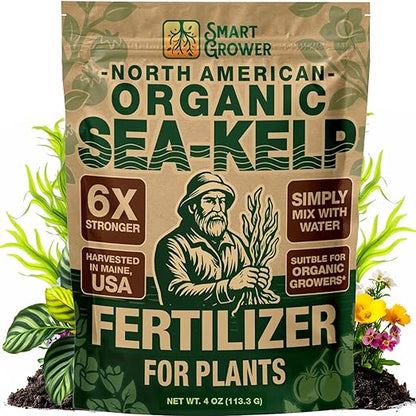 Organic Sea Kelp Fertilizer for Plants – Water-Soluble – Makes 100 Gallons – Kelp Meal Concentrate Plant Food – for Indoor Gardens, Hydroponics, Vegetables, Houseplants - Smart Grower - 4oz Bag
