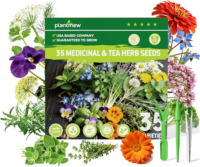 Medicinal & Tea Herb Seeds for Planting - 35 Non-GMO Heirloom Variety Pack for Indoor/Outdoor Garden: Anise, Bergamot, Borage, Fennel, Chamomile, Dandelion, Oregano, Hyssop, Catnip Seeds & More
