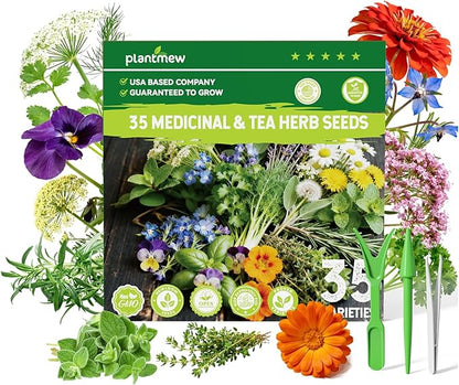 Medicinal & Tea Herb Seeds for Planting - 35 Non-GMO Heirloom Variety Pack for Indoor/Outdoor Garden: Anise, Bergamot, Borage, Fennel, Chamomile, Dandelion, Oregano, Hyssop, Catnip Seeds & More