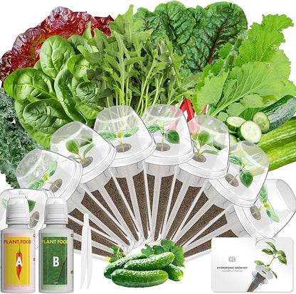 LYKOCLEAN 8-pod Salad Seeds Pod Kit for AeroGarden, iDOO, Ahopegarden Hydroponics Growing System, 350+ Seeds (Include Spinach, Lacinato Kale, Arugula, Swiss Chard, Red Leaf Lettuce, Cucumber)