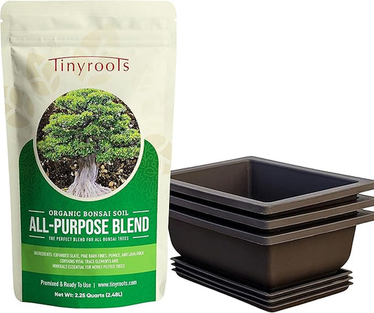 Tinyroots Bonsai Soil Plus a Three Pack of Six-Inch Training Bonsai Pots