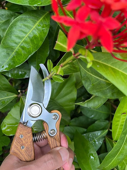 Pruning Shears, Flower Cutters for Stems, German Stainless Steel Blades, 1 inch Cut Capacity, Garden Snips with Non-Slip Handle, Lightweight & Ergonomic Professional Garden Tools for women