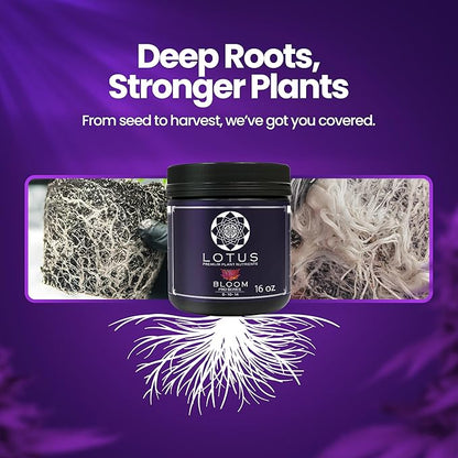 Bloom Pro Series - Hydroponic Plant Nutrients and Fertilizer, Water Soluble Plant Food, for Coco Coir Hydro and Soil, Enhances Flowering and Fruiting, Indoor and Outdoor Grows (16oz)