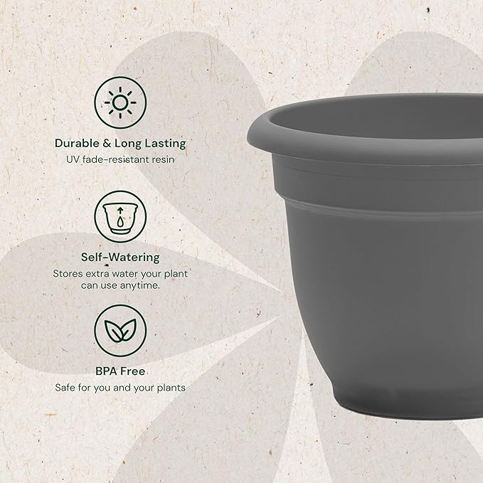 Bloem Ariana 10" Charcoal Round Self-Watering Resin Planter Pot - Rolled Rim Indoor and Outdoor Gardening Planter